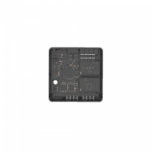 IP-ATC YEASTAR S20