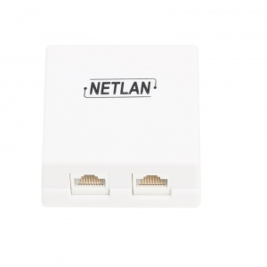 Розетка инф. 2*RJ-45 cat.5e NETLAN